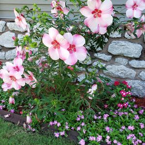 Meet your Posher, Shelly